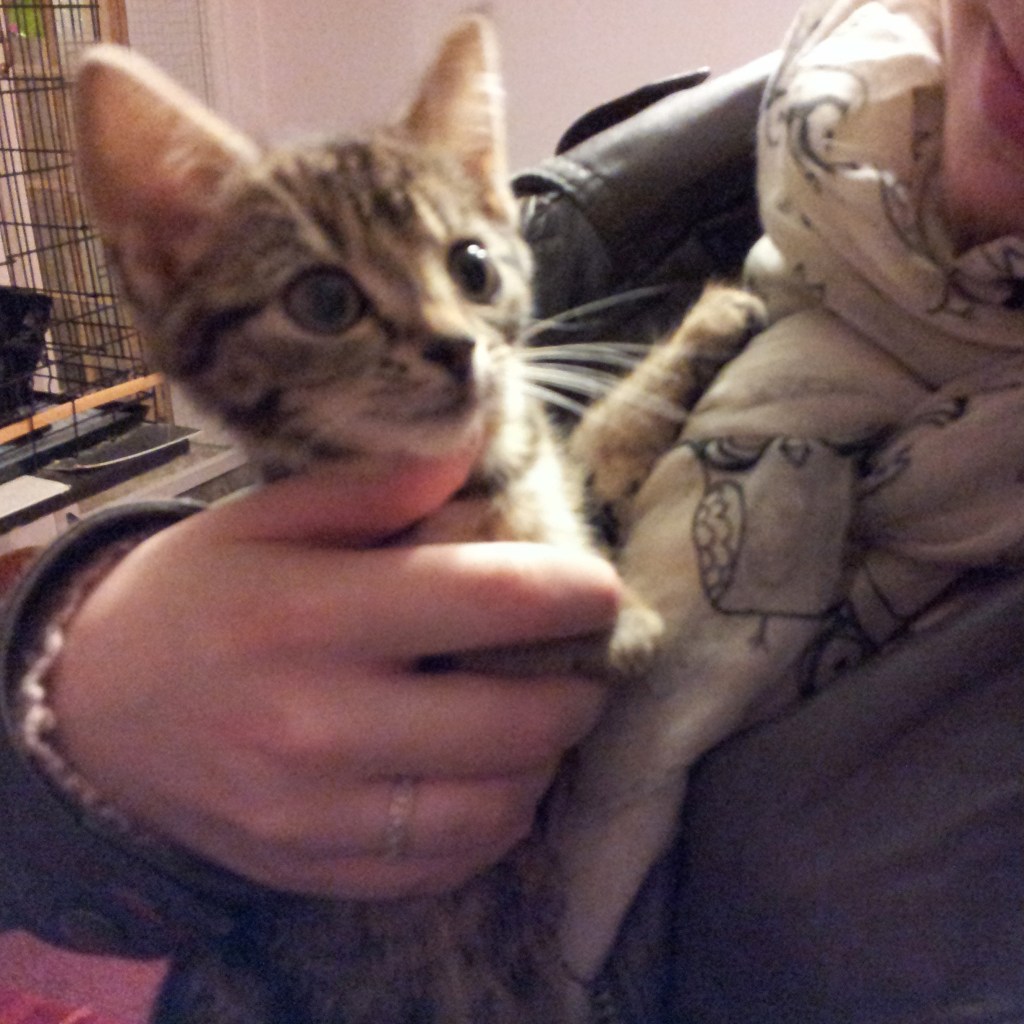 The first cuddle with Tilly when she was around 8 weeks old.