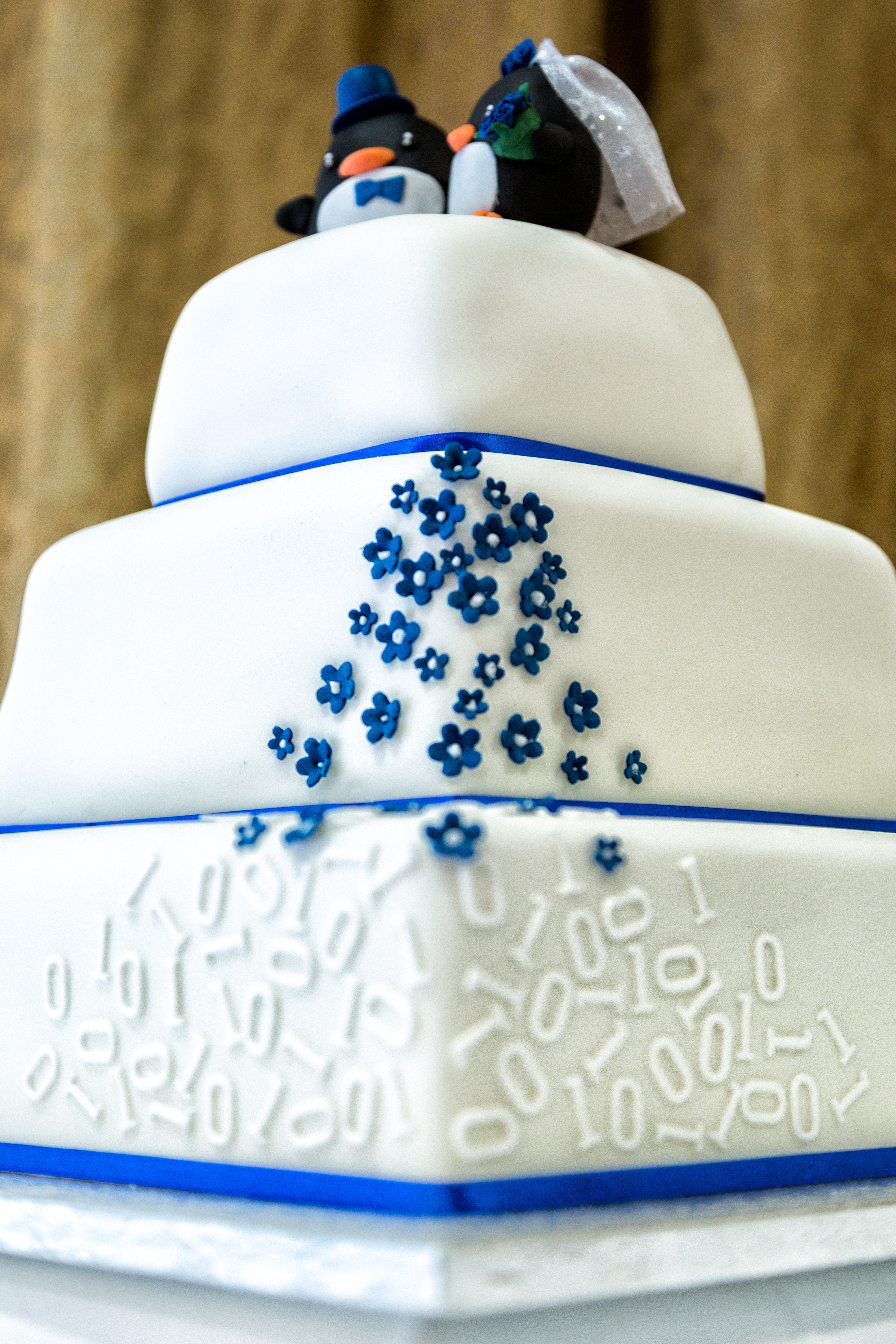 Our wedding cake, decorated with white royal icing, blue flowers and binary details