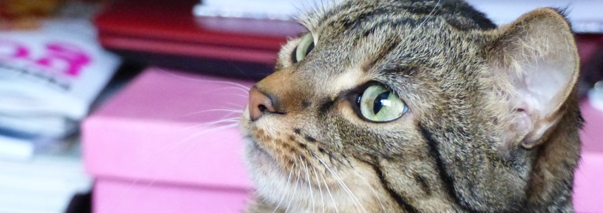 Tilly Posing During Her Photoshoot