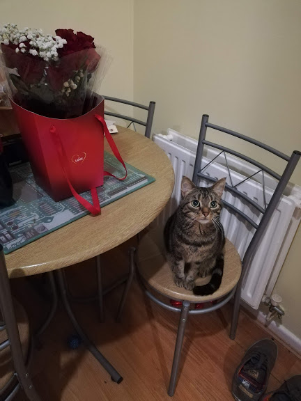 Tilly with Roses - Valentines' Day 2019