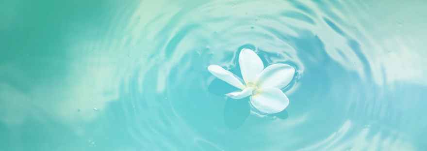 OCD Week of Action 2020