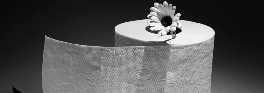 Toilet Paper with Flower