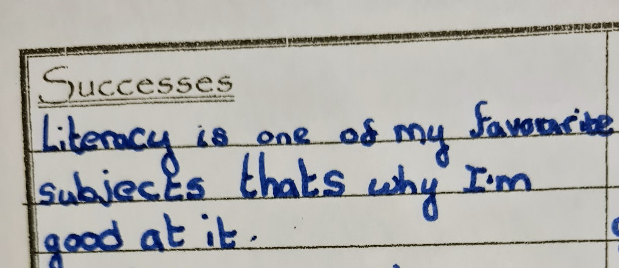 A self completed 'goals' report of mine from 2001. Under "successes," 9 year old me has written: "literacy is one of my favourite subjects, that's why I'm good at it."