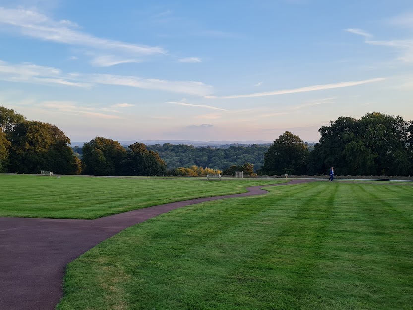 View of the grounds of my workplace. The sky is blue with trees in the background, and fresh green grass. 