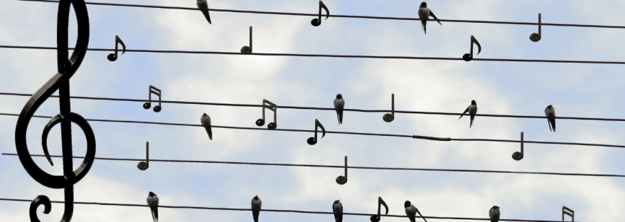 Musical notes against sky background
